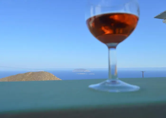 The Anafians 아나피